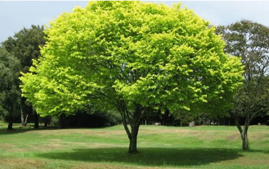 رونمایی از جدیدترین دستآوردها 3